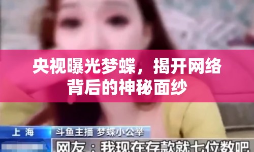 央視曝光夢(mèng)蝶，揭開網(wǎng)絡(luò)背后的神秘面紗