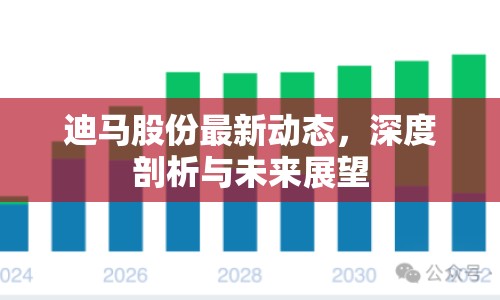迪馬股份最新動態(tài)，深度剖析與未來展望