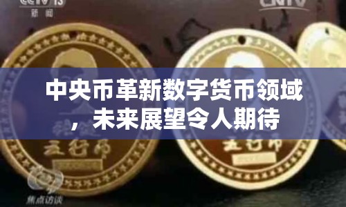 中央幣革新數(shù)字貨幣領(lǐng)域，未來展望令人期待