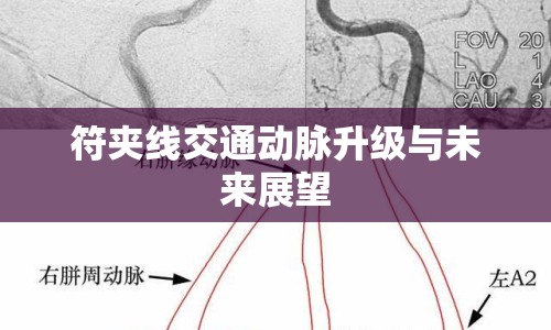 符夾線交通動脈升級與未來展望