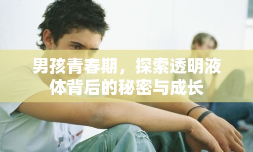 男孩青春期，探索透明液體背后的秘密與成長(zhǎng)