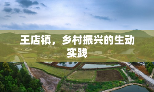 王店鎮(zhèn)，鄉(xiāng)村振興的生動實(shí)踐