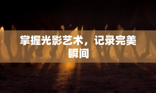 掌握光影藝術(shù)，記錄完美瞬間