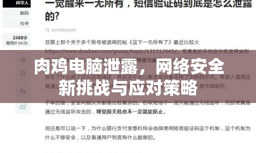 肉雞電腦泄露，網(wǎng)絡(luò)安全新挑戰(zhàn)與應(yīng)對(duì)策略