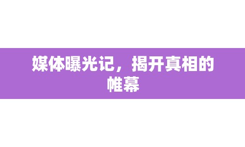 媒體曝光記，揭開(kāi)真相的帷幕