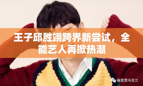 王子邱勝翊跨界新嘗試，全能藝人再掀熱潮