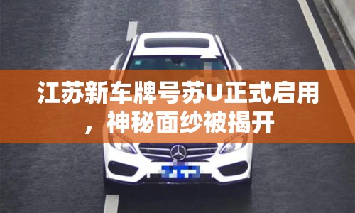 江蘇新車牌號蘇U正式啟用，神秘面紗被揭開