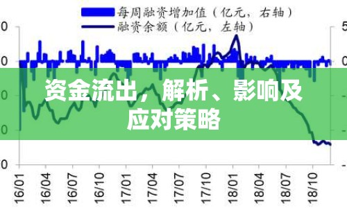 資金流出，解析、影響及應對策略