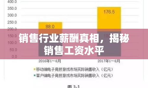 銷售行業(yè)薪酬真相，揭秘銷售工資水平