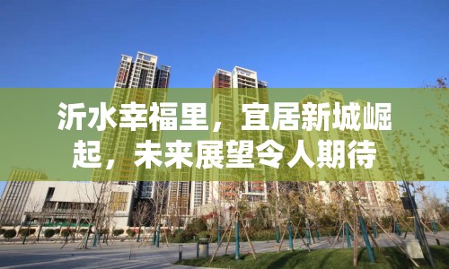 沂水幸福里，宜居新城崛起，未來展望令人期待