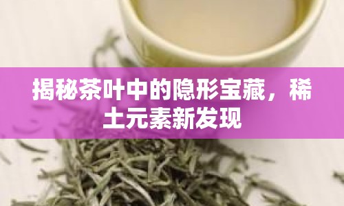 揭秘茶葉中的隱形寶藏，稀土元素新發(fā)現(xiàn)