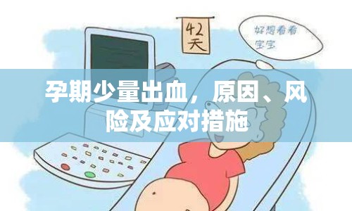 孕期少量出血，原因、風(fēng)險及應(yīng)對措施