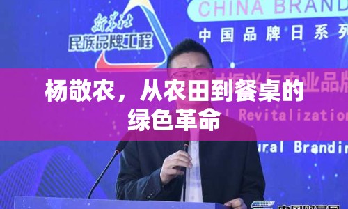 楊敬農(nóng)，從農(nóng)田到餐桌的綠色革命