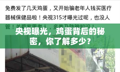 央視曝光，雞蛋背后的秘密，你了解多少？