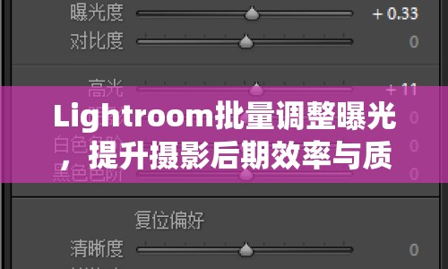 Lightroom批量調(diào)整曝光，提升攝影后期效率與質(zhì)量的秘訣