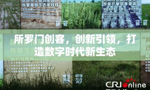 所羅門創(chuàng)客，創(chuàng)新引領(lǐng)，打造數(shù)字時(shí)代新生態(tài)