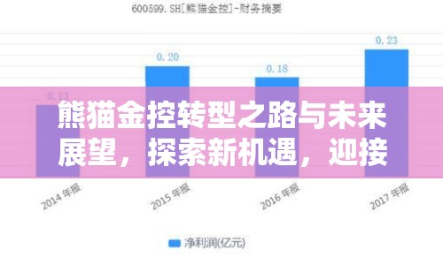 熊貓金控轉(zhuǎn)型之路與未來(lái)展望，探索新機(jī)遇，迎接新挑戰(zhàn)