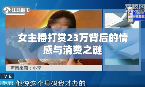 女主播打賞23萬(wàn)背后的情感與消費(fèi)之謎