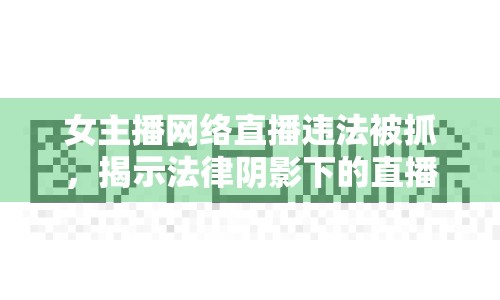 女主播網(wǎng)絡直播違法被抓，揭示法律陰影下的直播行業(yè)