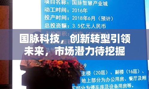 國脈科技，創(chuàng)新轉(zhuǎn)型引領(lǐng)未來，市場潛力待挖掘