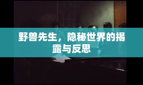 野獸先生，隱秘世界的揭露與反思