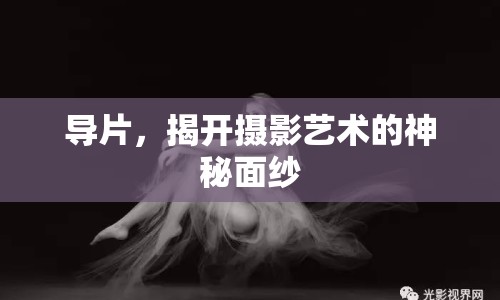 導(dǎo)片，揭開攝影藝術(shù)的神秘面紗