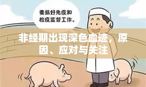 非經(jīng)期出現(xiàn)深色血跡，原因、應(yīng)對與關(guān)注