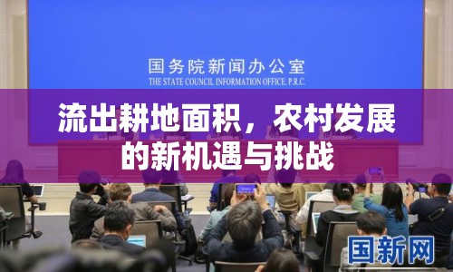 流出耕地面積，農村發(fā)展的新機遇與挑戰(zhàn)