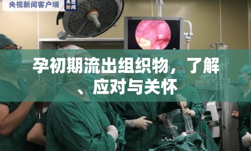 孕初期流出組織物，了解、應(yīng)對與關(guān)懷