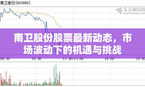 南衛(wèi)股份股票最新動(dòng)態(tài)，市場(chǎng)波動(dòng)下的機(jī)遇與挑戰(zhàn)