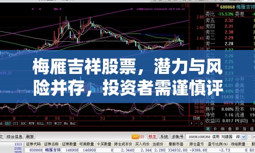 梅雁吉祥股票，潛力與風(fēng)險并存，投資者需謹慎評估