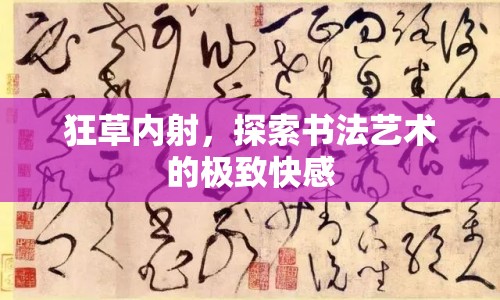 狂草內(nèi)射，探索書(shū)法藝術(shù)的極致快感