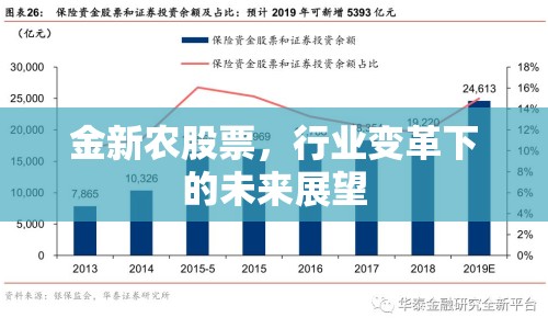 金新農(nóng)股票，行業(yè)變革下的未來展望