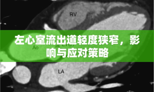 左心室流出道輕度狹窄，影響與應(yīng)對(duì)策略