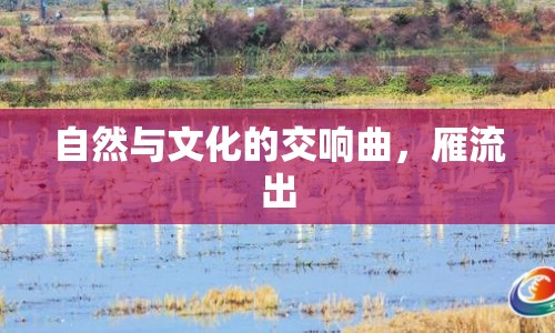 自然與文化的交響曲，雁流出