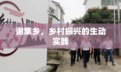 謝集鄉(xiāng)，鄉(xiāng)村振興的生動實踐