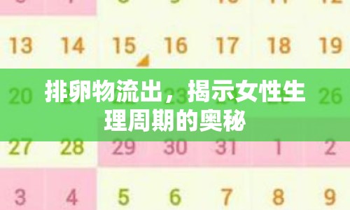 排卵物流出，揭示女性生理周期的奧秘