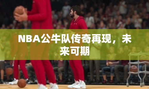 NBA公牛隊(duì)傳奇再現(xiàn)，未來可期