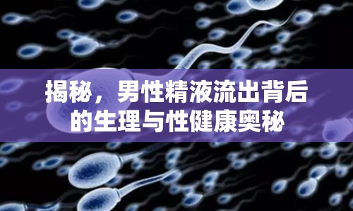 揭秘，男性精液流出背后的生理與性健康奧秘