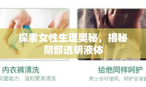 探索女性生理奧秘，揭秘陰部透明液體
