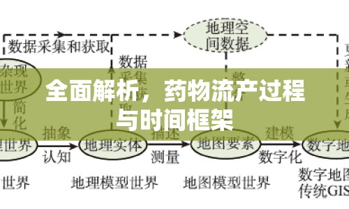 全面解析，藥物流產(chǎn)過程與時(shí)間框架