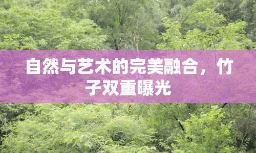 自然與藝術(shù)的完美融合，竹子雙重曝光