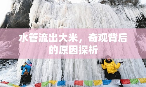 水管流出大米，奇觀背后的原因探析