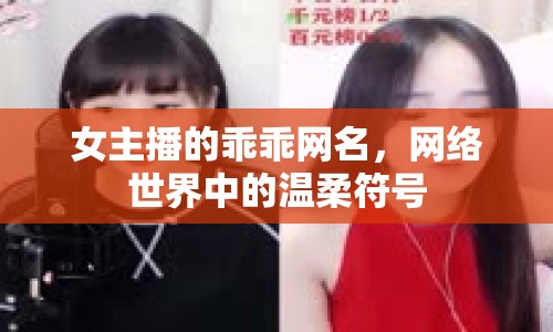 女主播的乖乖網(wǎng)名，網(wǎng)絡(luò)世界中的溫柔符號(hào)