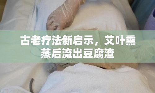 古老療法新啟示，艾葉熏蒸后流出豆腐渣