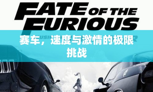 賽車，速度與激情的極限挑戰(zhàn)