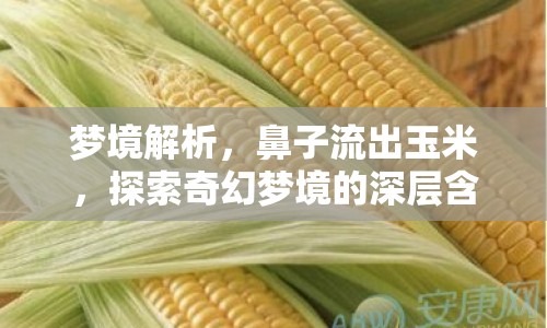 夢(mèng)境解析，鼻子流出玉米，探索奇幻夢(mèng)境的深層含義