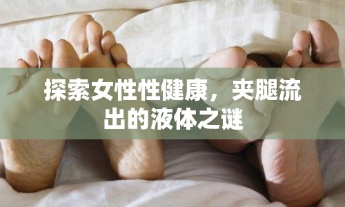 探索女性性健康，夾腿流出的液體之謎