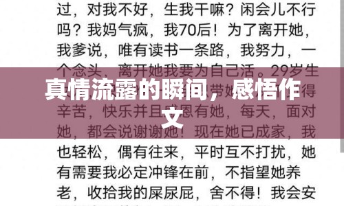 真情流露的瞬間，感悟作文