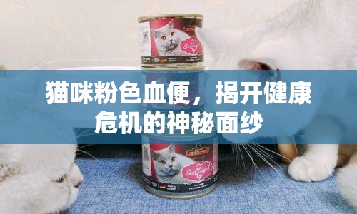 貓咪粉色血便，揭開健康危機的神秘面紗